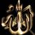 DIE LIEBE F�R IMAM HUSSEIN - last post by Violett