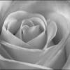 YaReN_76